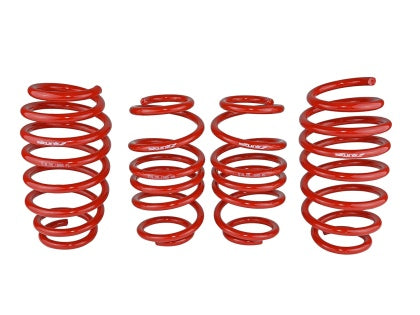 Skunk2 Racing Lowering Springs