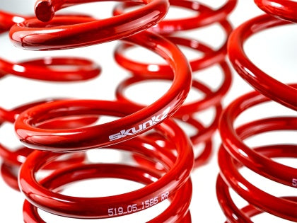 Skunk2 Racing Lowering Springs