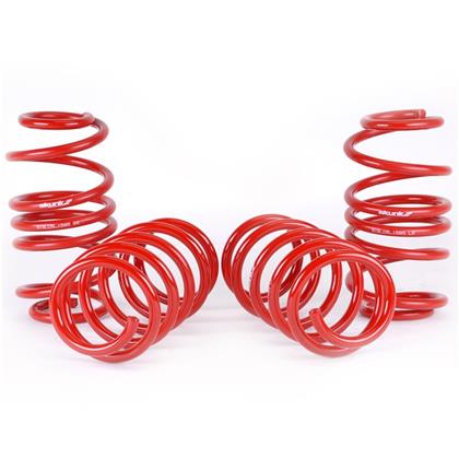 Skunk2 Racing Lowering Springs