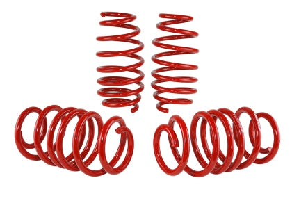 Skunk2 Racing Lowering Springs